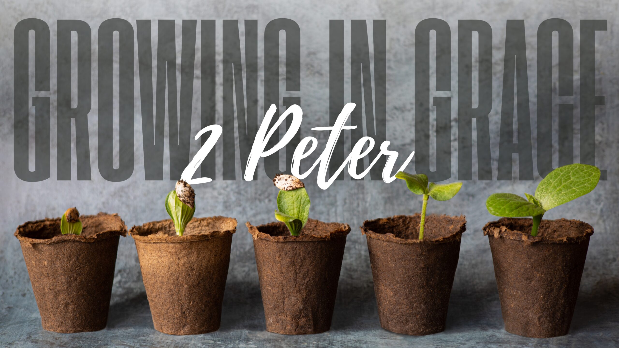 2 Peter Cover